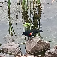 While at the park #5