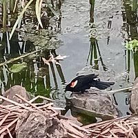 While at the park #6