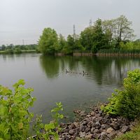 While at the park #7