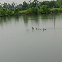 While at the park #8