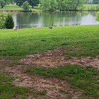 While at the park #9