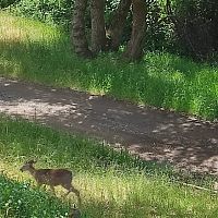 Down by the creek...