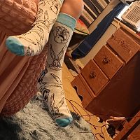 Dollar tree.. Bugs bunny socks