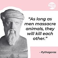 Inspiring Pythagoras Quote.