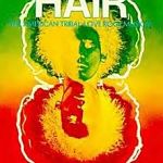 Hair the Musical