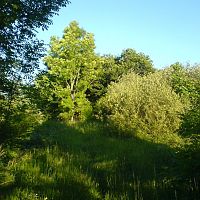 DSC00646