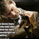 no+cheezburgers+on+gallifrey+10th+doctor+ftw bbeef6 1551525