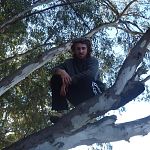 Tree beard