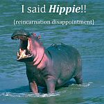 Funny!