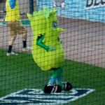 A celery baseball mascot who