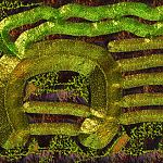 Mossy Portal