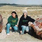 Petrified Forest