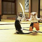 KatFu