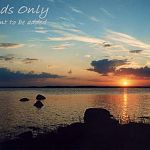 friends only sunset