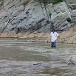 7River in the river