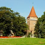 Old Tower Planty Park Cracow