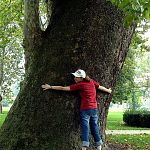 me hugging a tree