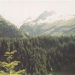 Olympic Mountains