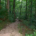 Yellow Springs, OH