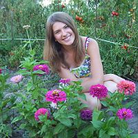 beautiful flowers