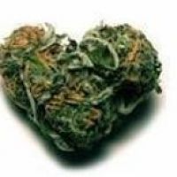my love