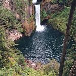 Waterfall, from the Tree Tops