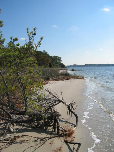 First Landing State park in Virginia