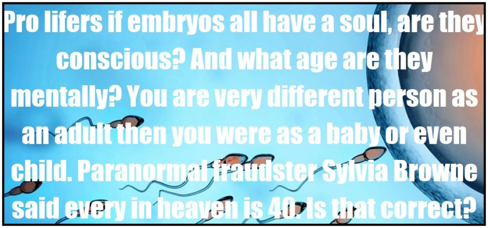 If Embryos Have Souls?