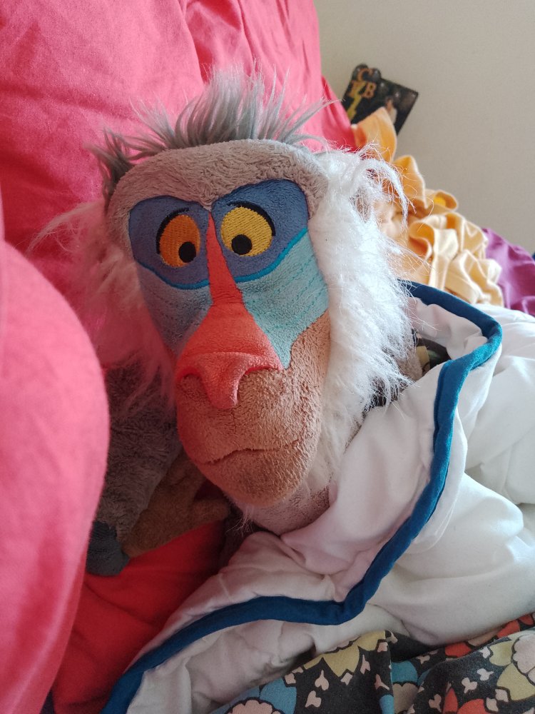 IMG_20220918_144728_664