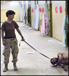 Iraqi on Leash