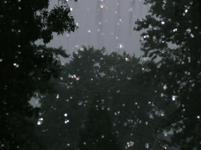 Storming... I took this when it was storming and thought it looked neat...But I