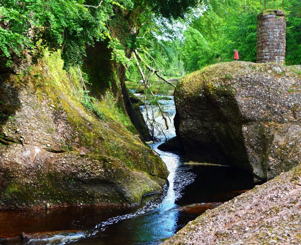 Summertime by the river