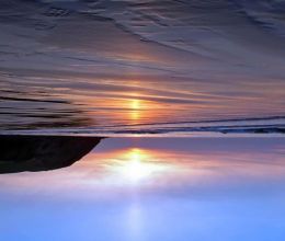 Upside down Nature World 2